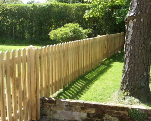 Palisade Fencing with Pointed Tops