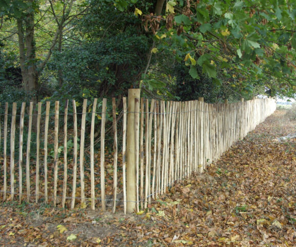 Chestnut pale fencing