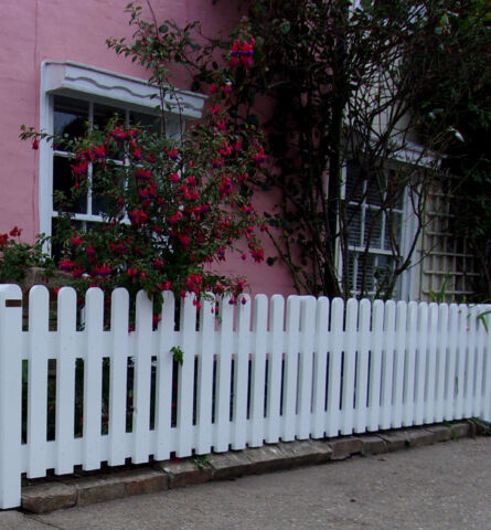 Palisade fencing in White Dulux Weathershield