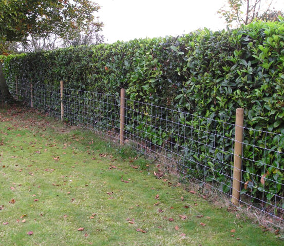 Stock netting against a hedge