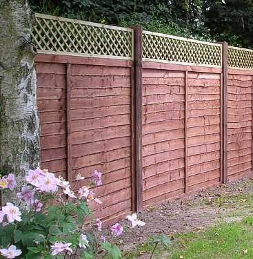 Panel Fencing with Trellis Tops