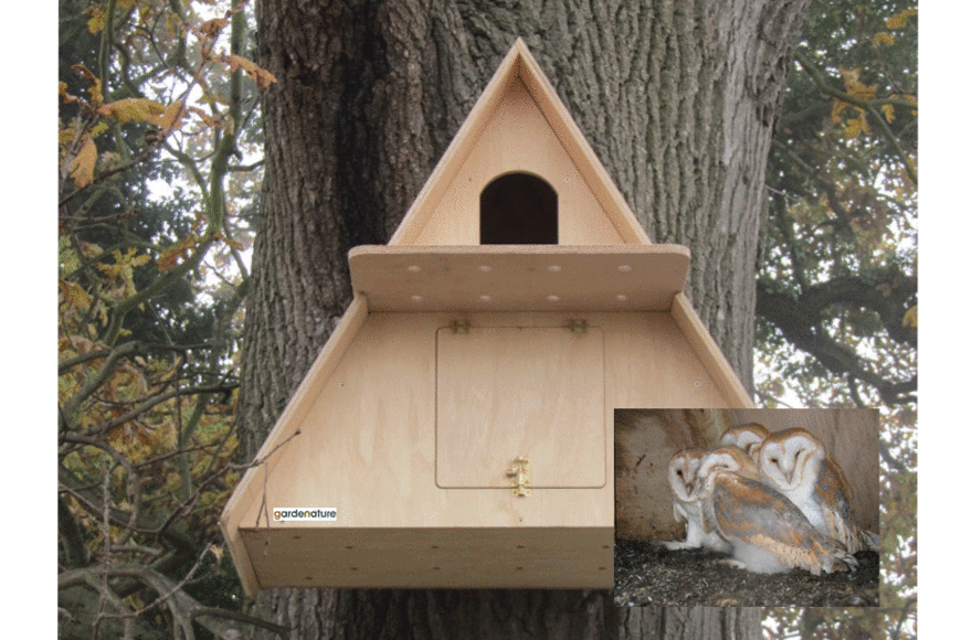 barn owl house