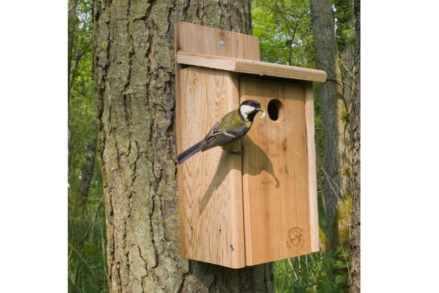 CedarPlus Wooden Nest box