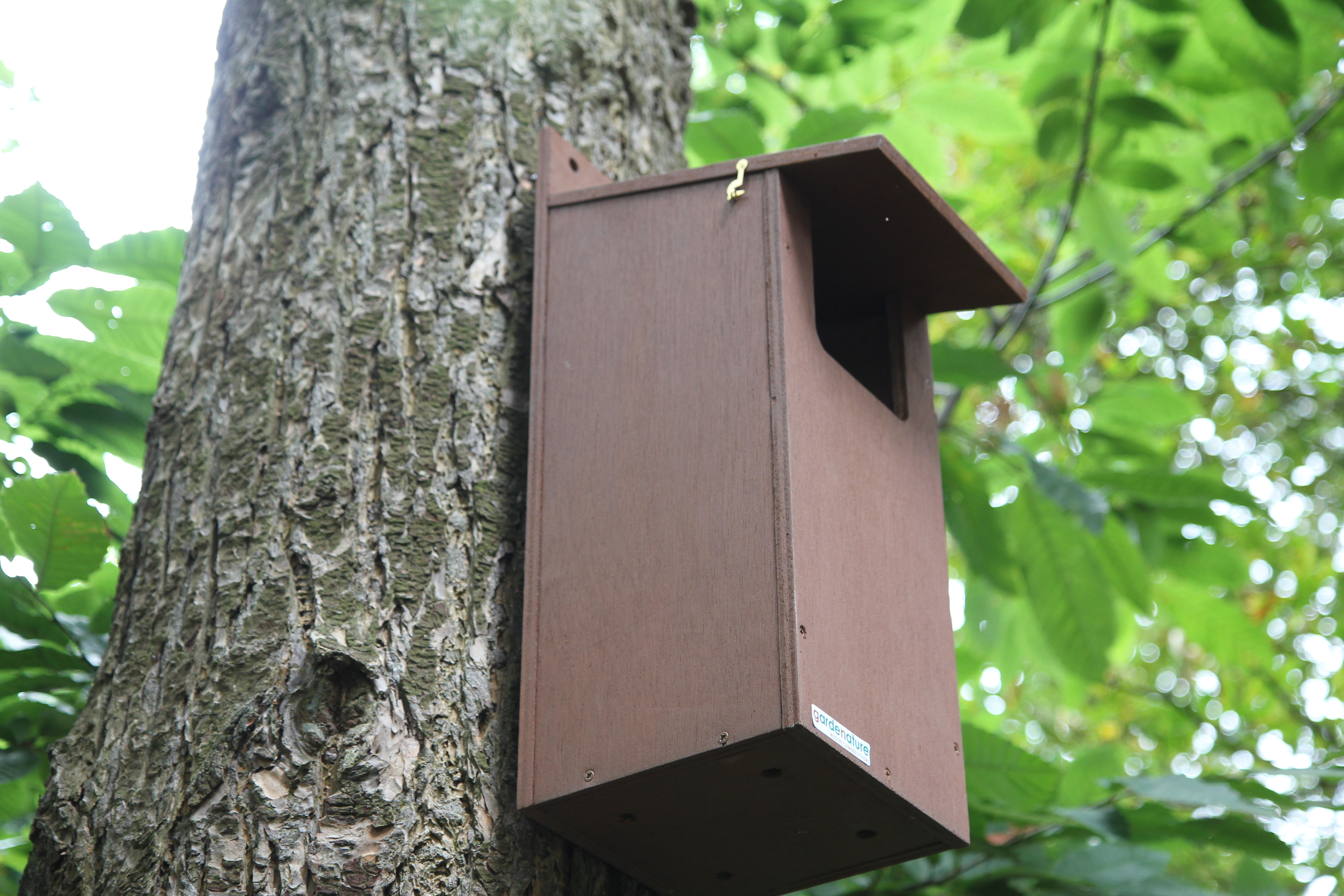 rspb bird box camera