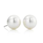 South Sea Pearl Earrings