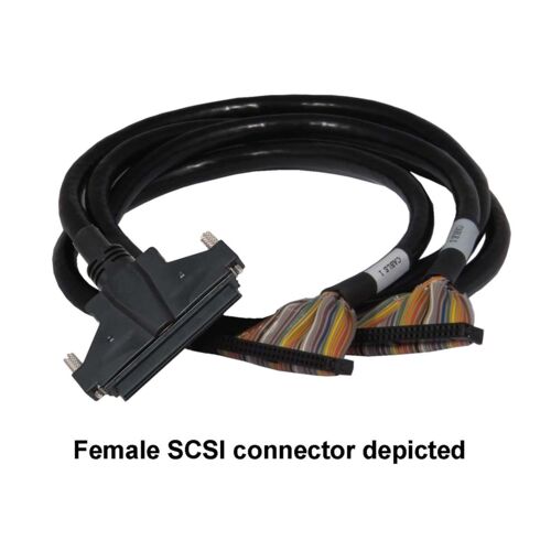 Cable 100-Pin Male Micro-D to 2x50-Pin Male Ribbon Connectors, 1m