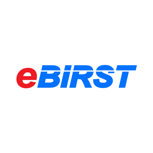 eBIRST - 开关系统检测工具