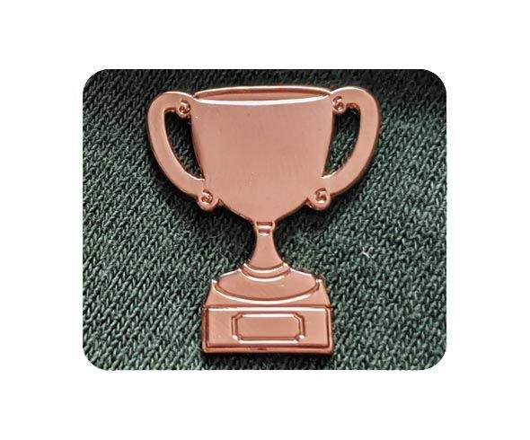 Bronze Trophy Badge