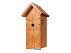 Green Feathers Large Bird Box | Wild View Cameras