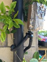 Large flexible tripod & branch mount