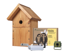 Green Feathers Wireless Bird Box Camera Kit | Wild View Cameras
