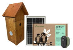 Green Feathers Solar Powered WiFi Bird Box Camera | Wild View Cameras