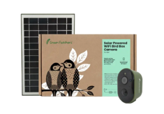 Green Feathers Solar Powered WiFi Bird Box & Wildlife HD Camera | Wild View Cameras