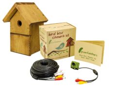 Green Feathers Wired Bird Box Camera Kit | Wild View Cameras