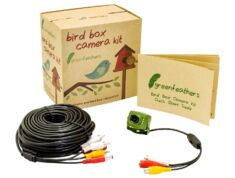 Green Feathers Wired Camera Kit with TV Connection | Wild View Cameras