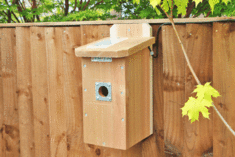 Gardenature Wired Bird Box Camera System | Wild View Cameras