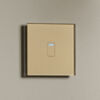 1 Gang 1 Way Touch Switch Brass Glass