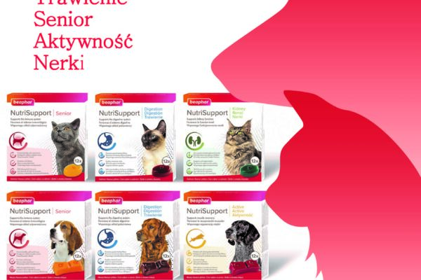 NutriSupport - smaczne żelki wspierające zdrowie psów i kotów
