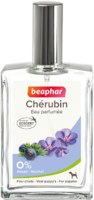 Parfum Chérubin 