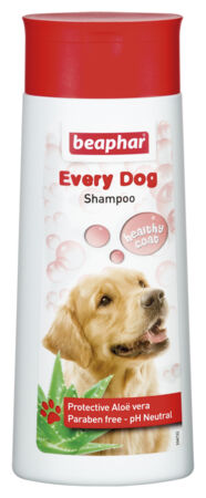 Bubbles Shampoo Universal - 250ml - English