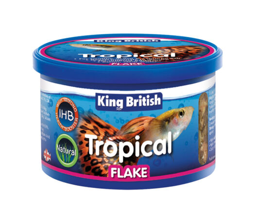 King British Tropical Fish Flake (with IHB)