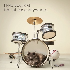 NEW at Beaphar- Beaphar CatComfort®- help your cat feel at ease anywhere