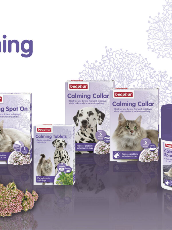 Calming range for cats and dogs
