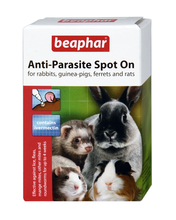 Beaphar Anti-Parasite Spot On for Rabbit and Rodents - Drops against  Parasites