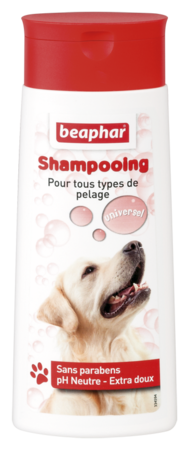 Bubbles Shampoo Universal - 250ml - French