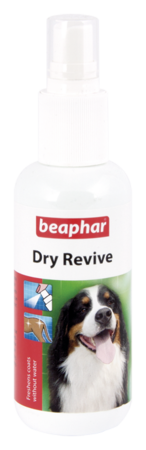 Dry Revive Spray - English