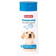 Shampooing chiot