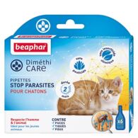 Pipettes stop parasites pour chatons