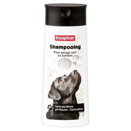 shampooing chien pelage noir