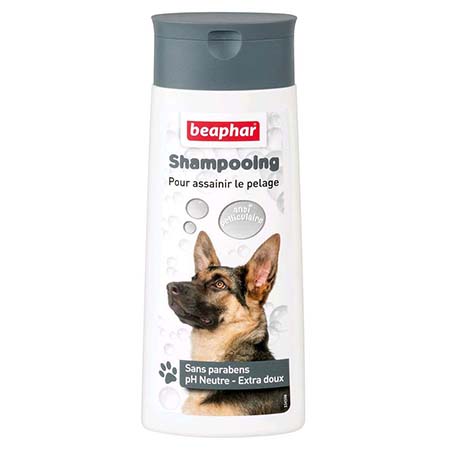 Beaphar shampooing antipelliculaire