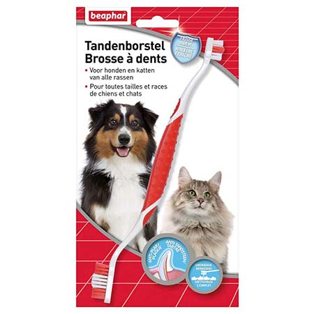 Brosse à dents chien et chat