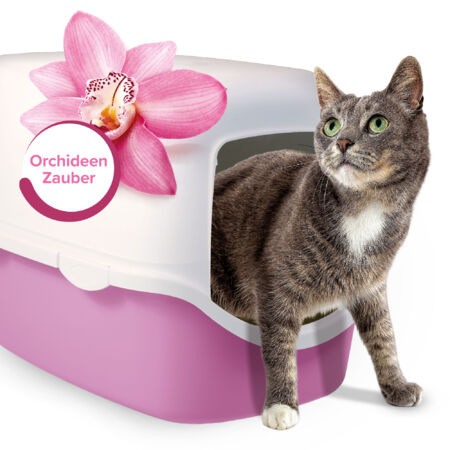Orchideenzauber für die Katzentoilette