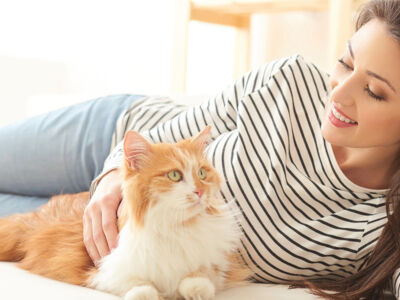 Caring for your pets during coronavirus