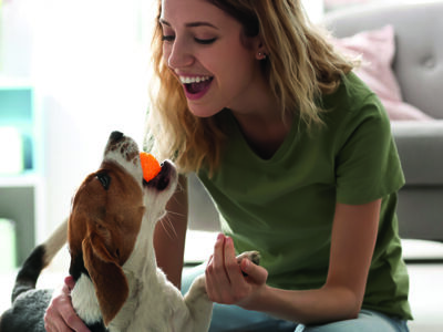 Top tips for keeping your pet entertained during self-isolation 