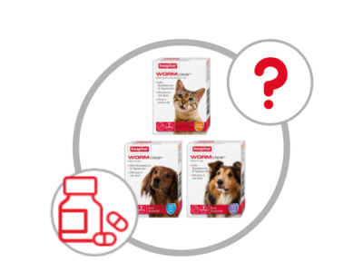 Choosing the right wormer for your cat or dog