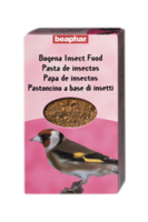 Insect Food
