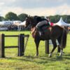 Working Equitation gate at the Suffolk Show