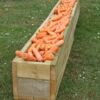 Board extender filled with carrots