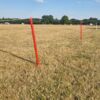 Red roping posts