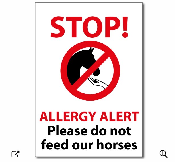 A4 Allergy sign