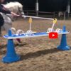 Jousting Video with competition board