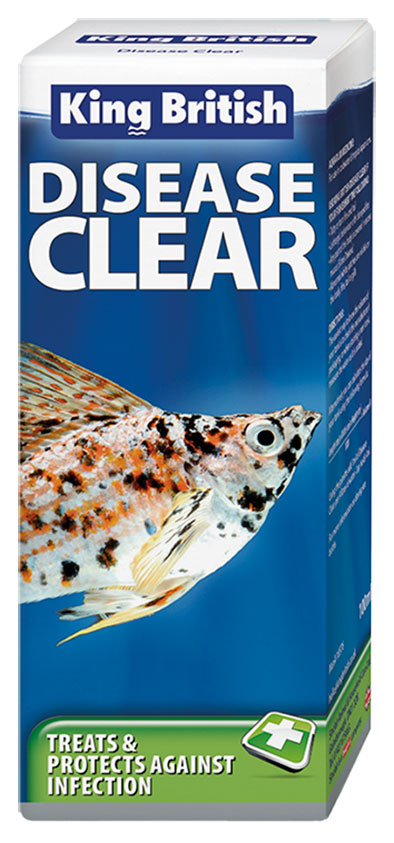 King British Disease clear medicine for fish