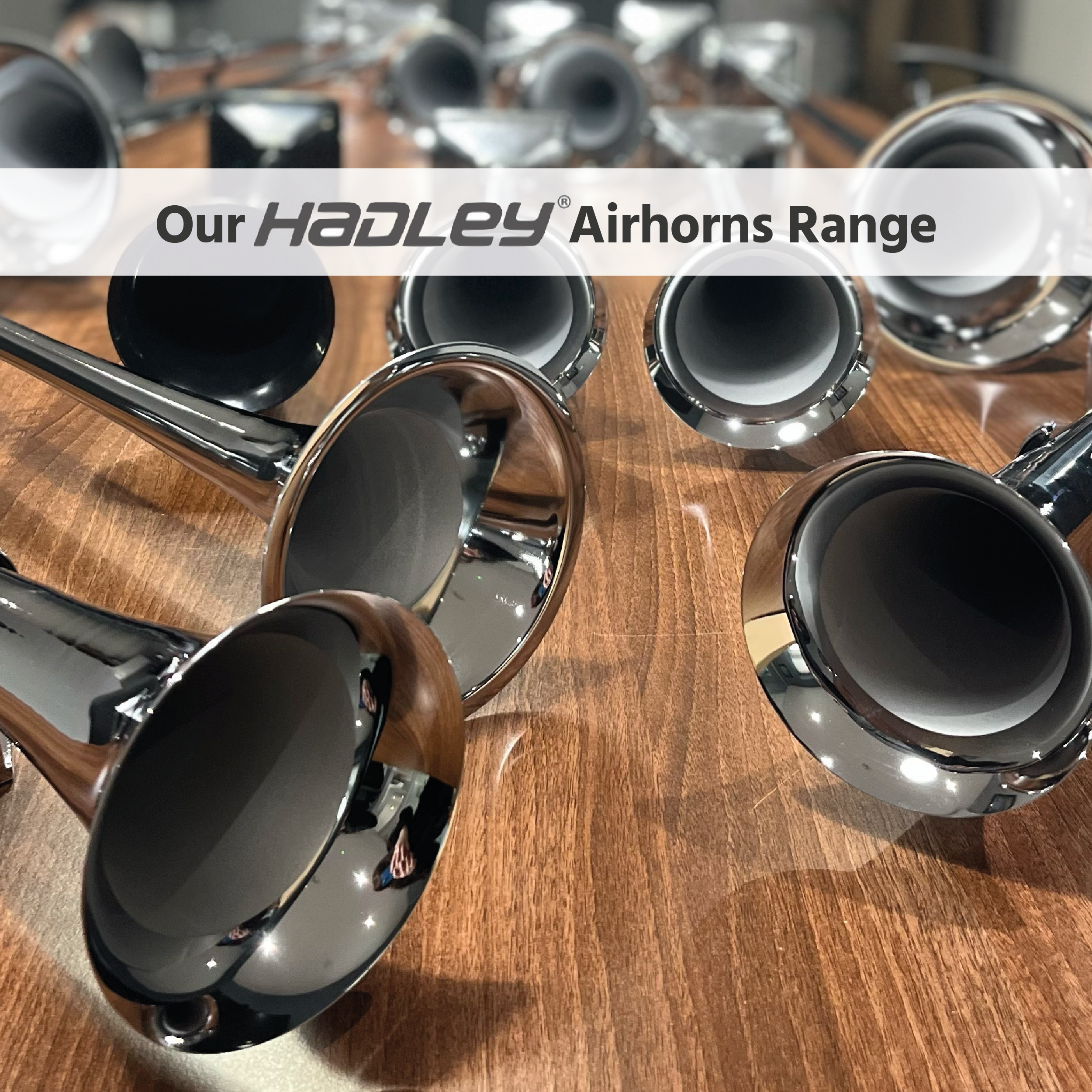 Image of Our Hadley Airhorns Range