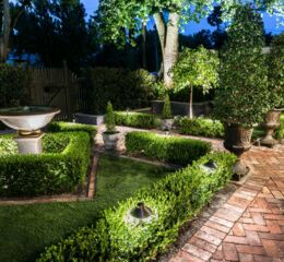 How To: Creating a lighting plan for your garden